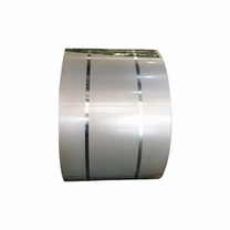 ASTM 405 Paslanmaz Çelik Rulo